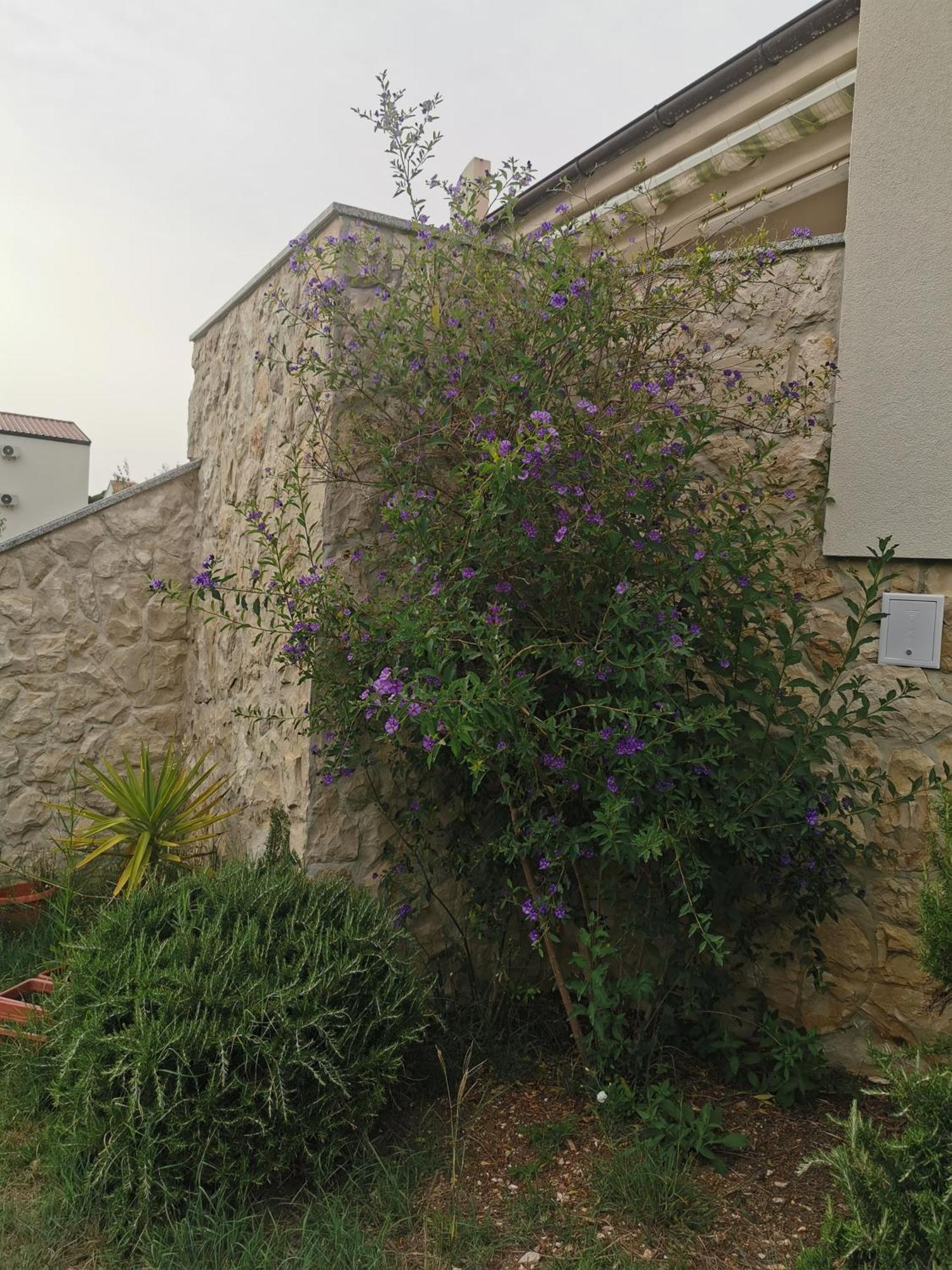 Apartments Riva Povljana Dış mekan fotoğraf