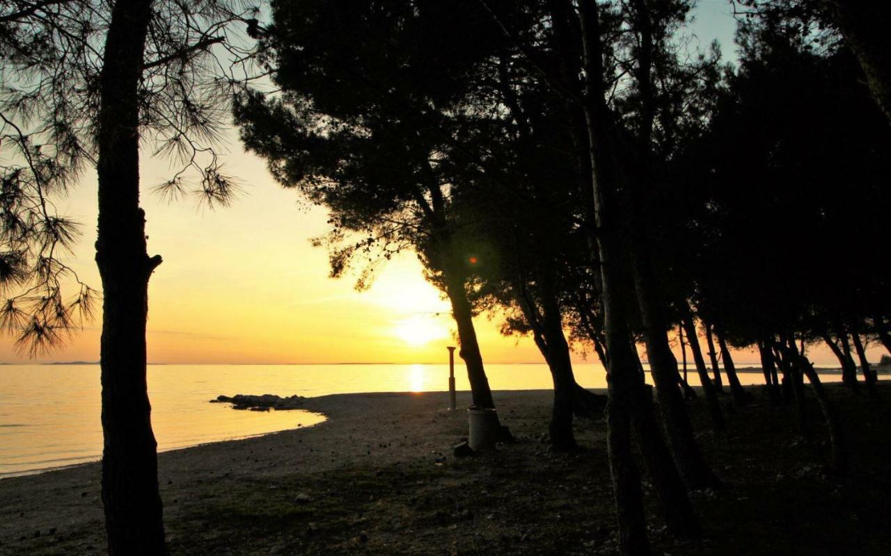 Apartments Riva Povljana Dış mekan fotoğraf