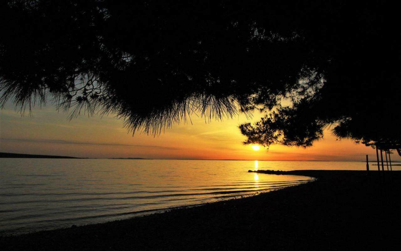 Apartments Riva Povljana Dış mekan fotoğraf